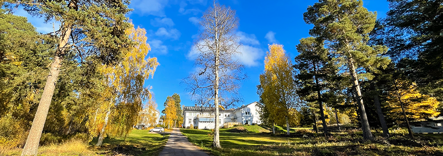 Rådomsgården